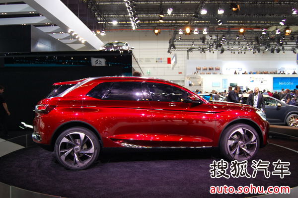 DS Wild Rubis 实拍 其它 图片